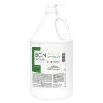 ABSOLUTE REPAIR CONDITIONER