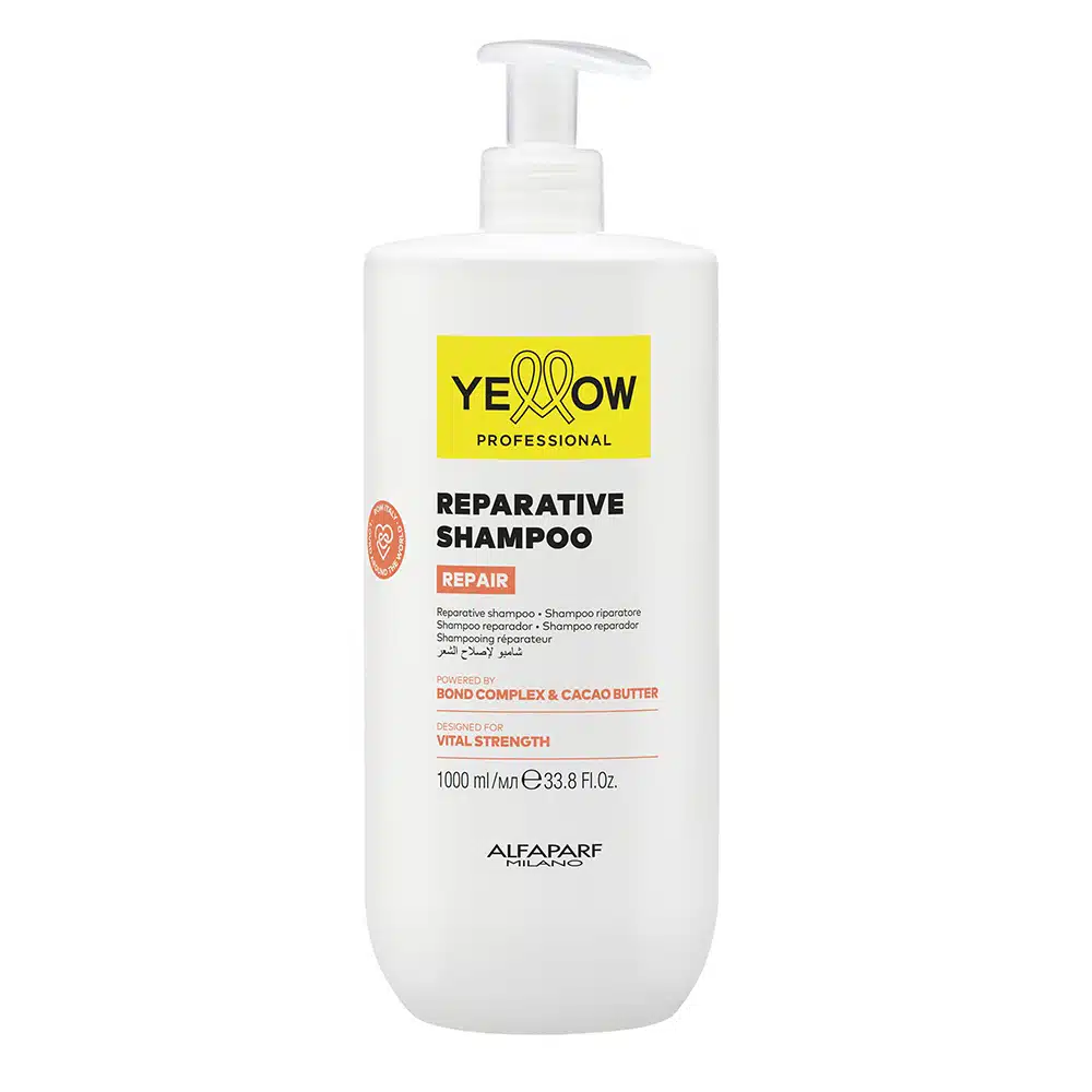 411569 YE REPAIR CONDITIONER 2024 - Imagen 1