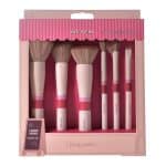 SET BROCHAS MAQUILLAJE VISAGE