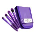 MINI KIT DE BROCHAS OJOS